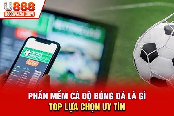 Phần Mềm Cá Độ Bóng Đá Là Gì? Top Lựa Chọn Uy Tín % Phần Mềm Cá Độ Bóng Đá Là Gì? Top Lựa Chọn Uy Tín